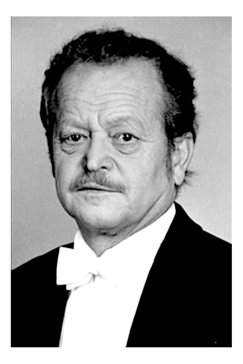 Быстрик Режуха